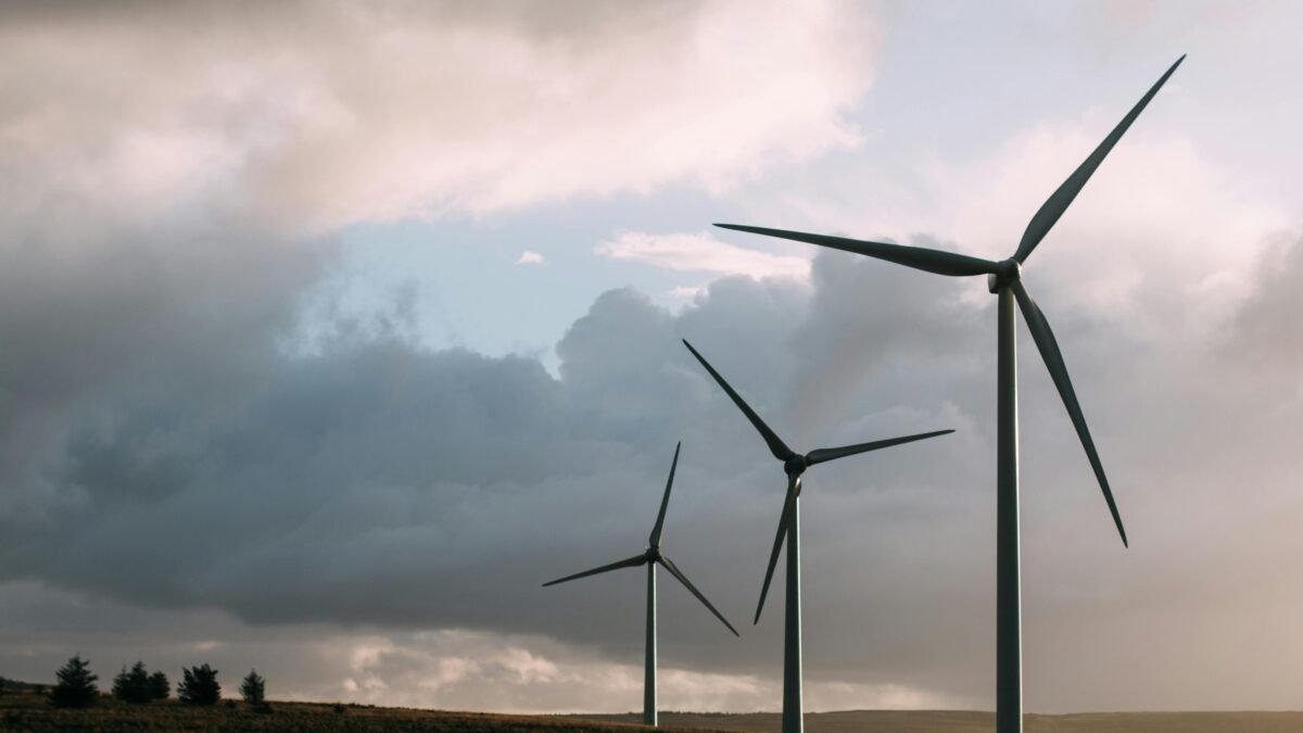 renewable energy day