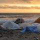 Rise of plastic usage and disposal during the COVID-19 pandemic