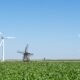 Reasons why you must use wind energy as a renewable source of energy