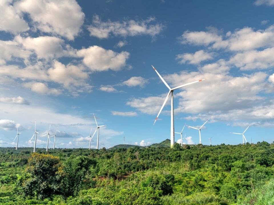 Wind Energy: A Powerful Force Driving the Green Economy