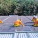 Enlightened Choices: Key Considerations before Installing Solar Panels