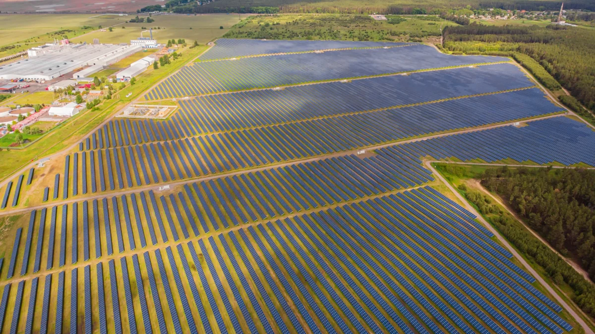 solar farmland