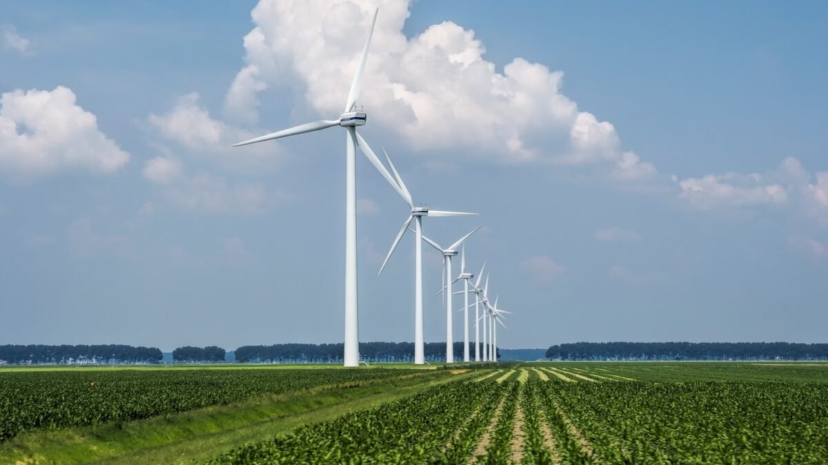 renewable fuels