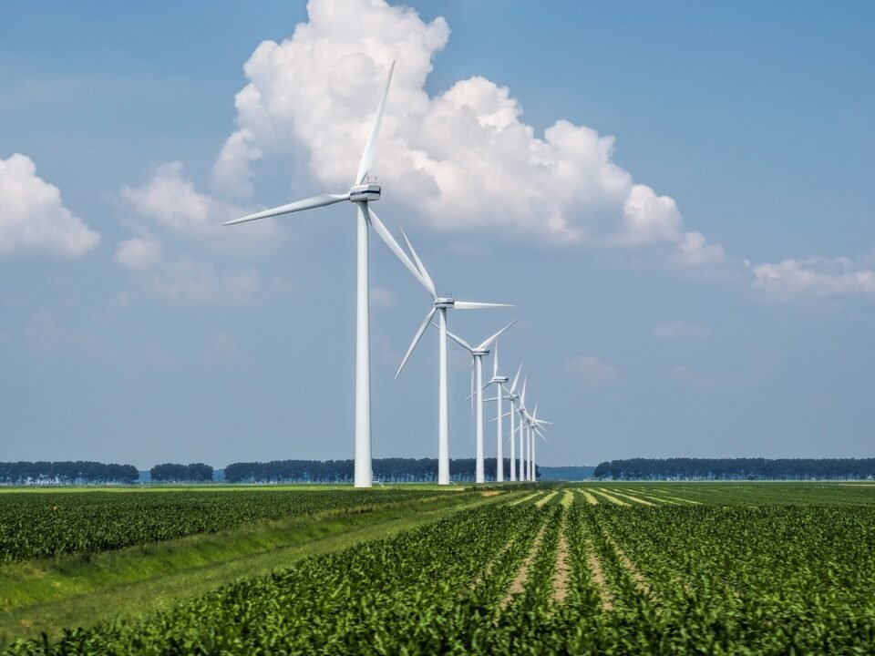 renewable fuels