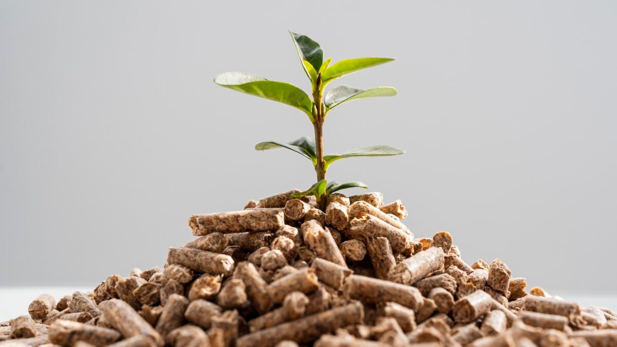 hydrogen from biomass