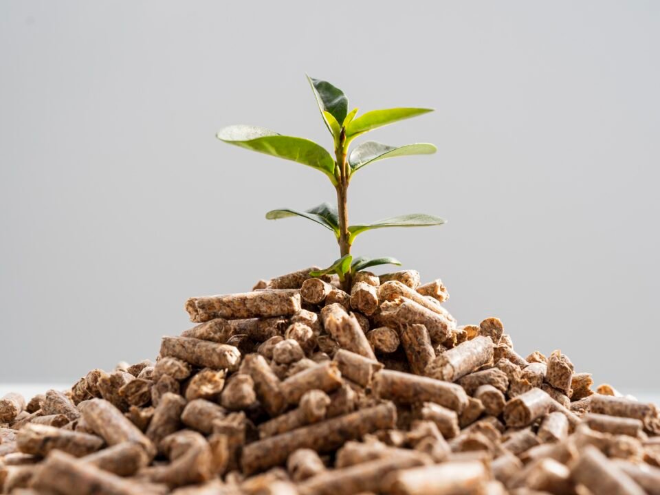 hydrogen from biomass