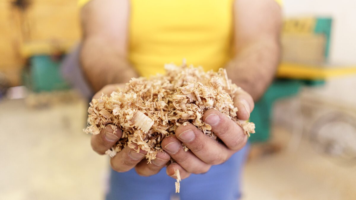 lignocellulosic biomass