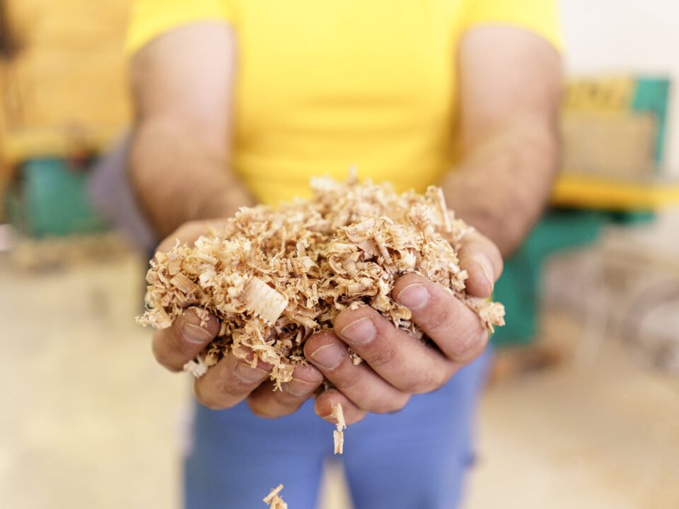 lignocellulosic biomass