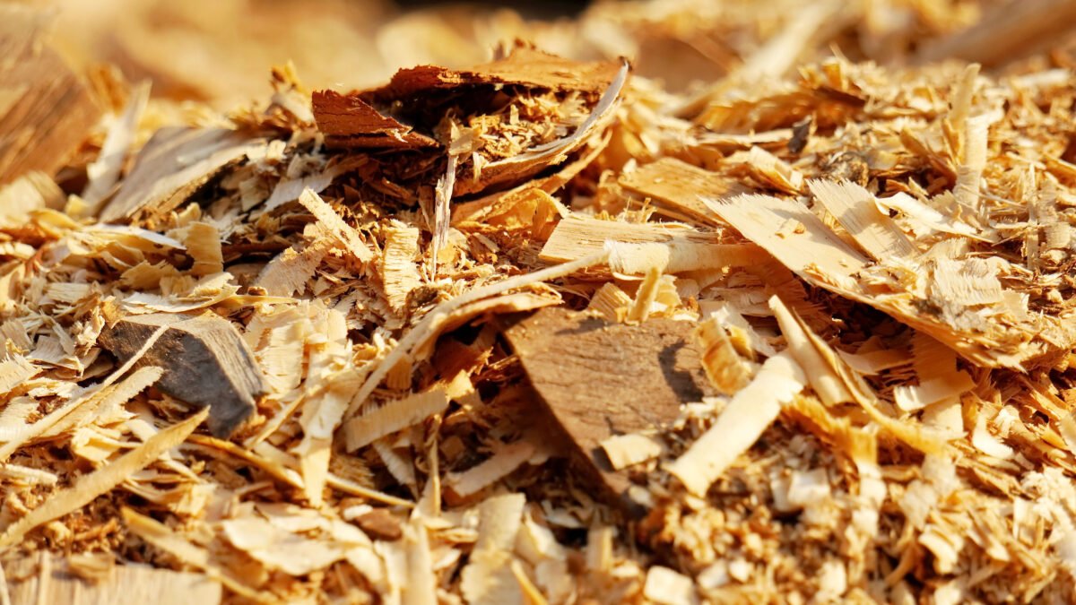 wood biomass