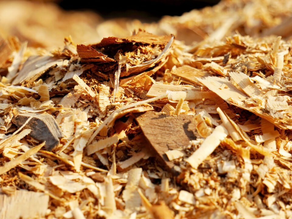 wood biomass