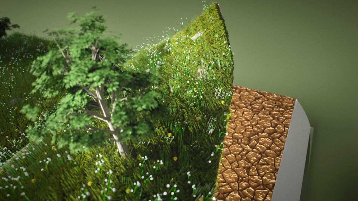carbon neutral ecosystem